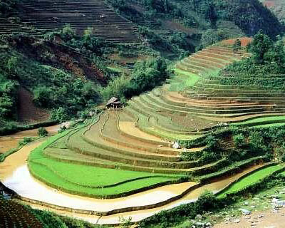 Victoria Sapa 487 fields victoria sapa resort sapa vietnam - Những địa điểm du lịch Sapa qua góc nhìn của dân phượt