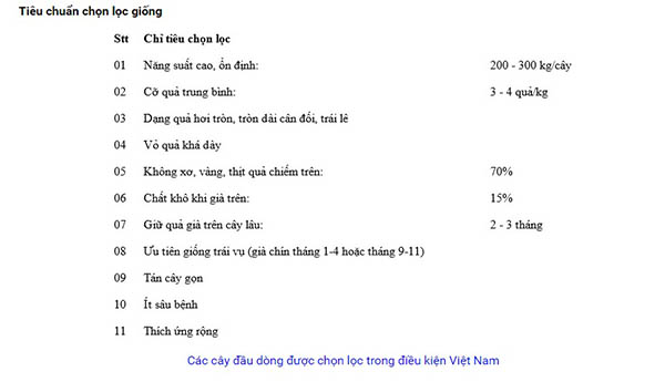 giong bo ngon nhat hien nay 4 - Các giống bơ ngon phổ biến nhất hiện nay