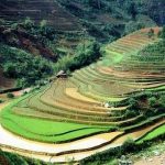 Victoria Sapa 487 fields victoria sapa resort sapa vietnam 150x150 - Hướng dẫn thủ tục xin visa Mỹ nhanh chóng, đơn giản 