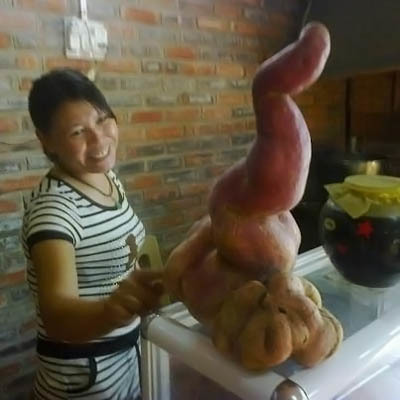 Củ khoai lang hình dáng lạ kỳ