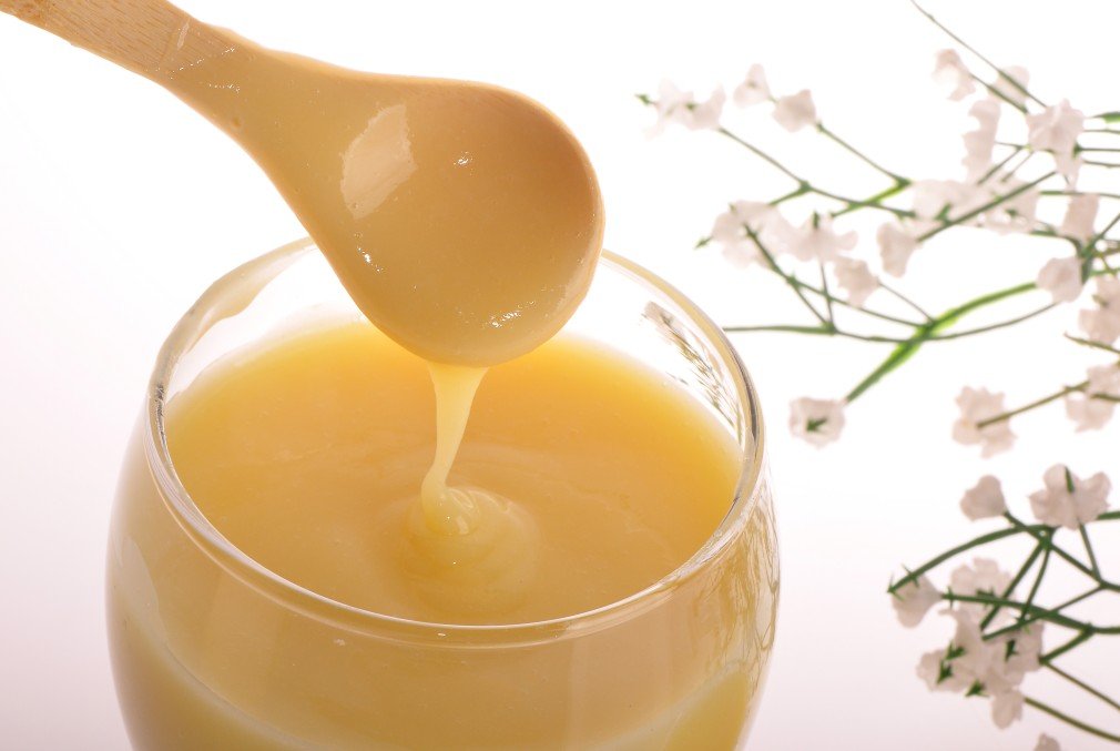 sua ong chua 1 - Tác dụng của sữa ong chúa