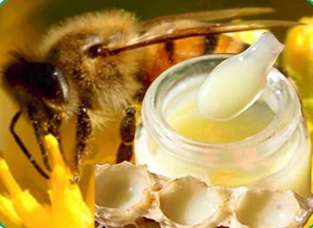 sua ong chua 4 - Sữa ong chúa cho làn da khỏe đẹp