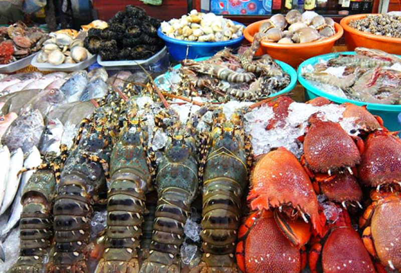 am thuc phu quoc - Hành trình khám phá ẩm thực đêm Phú Quốc siêu thú vị