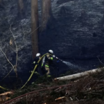 web tin tức thế giới